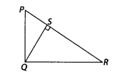 NCERT Exemplar Class 10 Maths Chapter 6 Triangles Ex 6.4 Q10