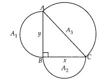 NCERT Exemplar Class 10 Maths Chapter 6 Triangles Ex 6.4 Q17