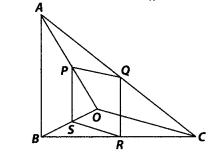 NCERT Exemplar Class 10 Maths Chapter 6 Triangles Ex 6.4 Q4