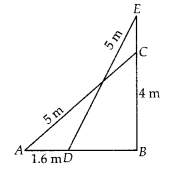 NCERT Exemplar Class 10 Maths Chapter 6 Triangles Ex 6.4 Q5