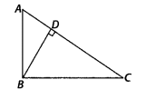 NCERT Exemplar Class 10 Maths Chapter 6 Triangles Ex 6.4 Q9