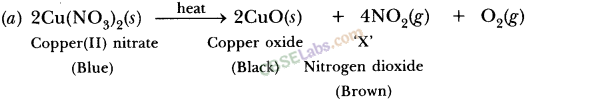 NCERT Exemplar Class 10 Science Chapter 1 Chemical Reactions And Equations Img 19