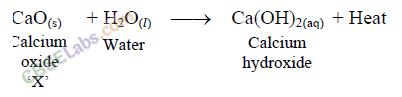 NCERT Exemplar Class 10 Science Chapter 1 Chemical Reactions And Equations Img 5