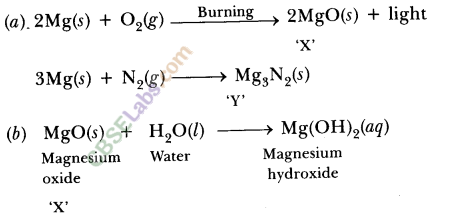 NCERT Exemplar Class 10 Science Chapter 1 Chemical Reactions And Equations Img 7