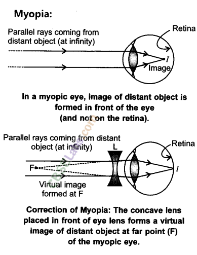 NCERT Exemplar Class 10 Science Chapter 11 Human Eye and Colourful World Img 6