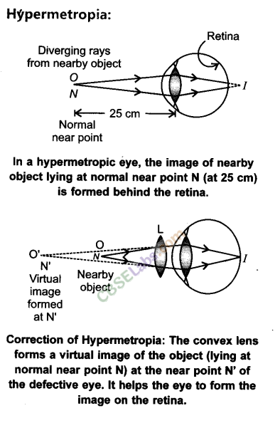 NCERT Exemplar Class 10 Science Chapter 11 Human Eye and Colourful World Img 7