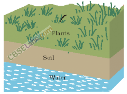 NCERT Exemplar Class 10 Science Chapter 16 Management of Natural Resources Img 2