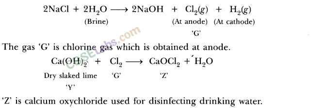 NCERT Exemplar Class 10 Science Chapter 2 Acids, Bases And Salts Img 6