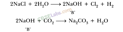 NCERT Exemplar Class 10 Science Chapter 2 Acids, Bases And Salts Img 7