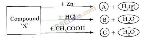 NCERT Exemplar Class 10 Science Chapter 2 Acids, Bases And Salts Img 8