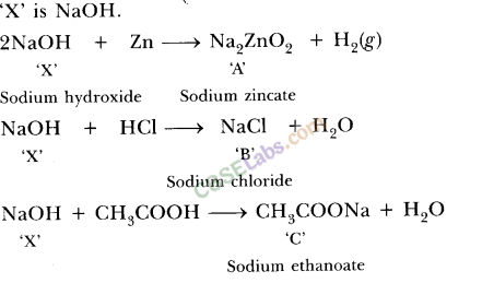 NCERT Exemplar Class 10 Science Chapter 2 Acids, Bases And Salts Img 9