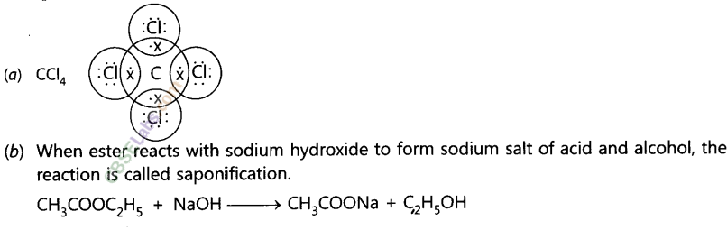 NCERT Exemplar Class 10 Science Chapter 4 Carbon and its Compounds Img 12