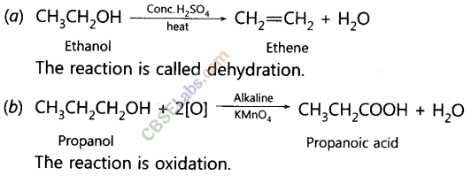 NCERT Exemplar Class 10 Science Chapter 4 Carbon and its Compounds Img 14