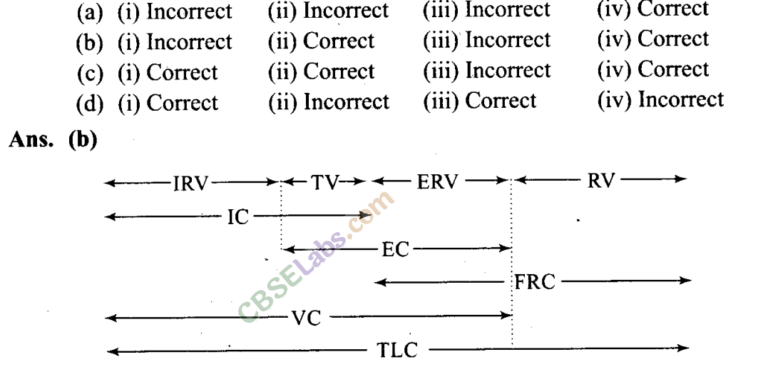 NCERT-Exemplar-Class-11-Biology-Chapter-17-Breathing-and-Exchange-of-Gases-1