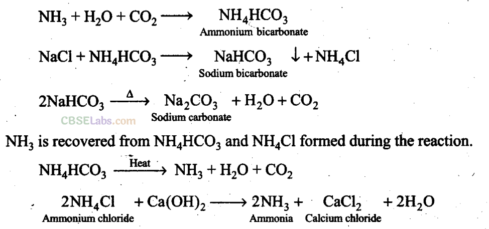 NCERT-Exemplar-Class-11-Chemistry-Chapter-10-The-S-Block-Elements-1