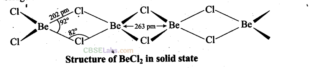 NCERT Exemplar Class 11 Chemistry Chapter 10 The S-Block Elements-8