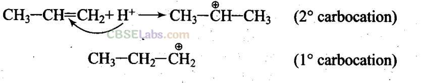 NCERT Exemplar Class 11 Chemistry Chapter 12 Organic Chemistry: Some Basic Principles and Techniques-13