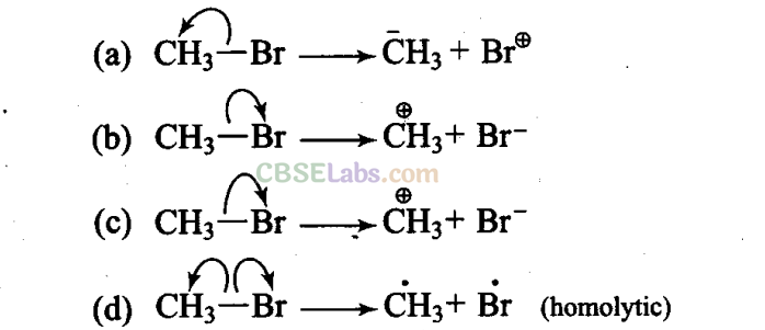 NCERT Exemplar Class 11 Chemistry Chapter 12 Organic Chemistry: Some Basic Principles and Techniques-15