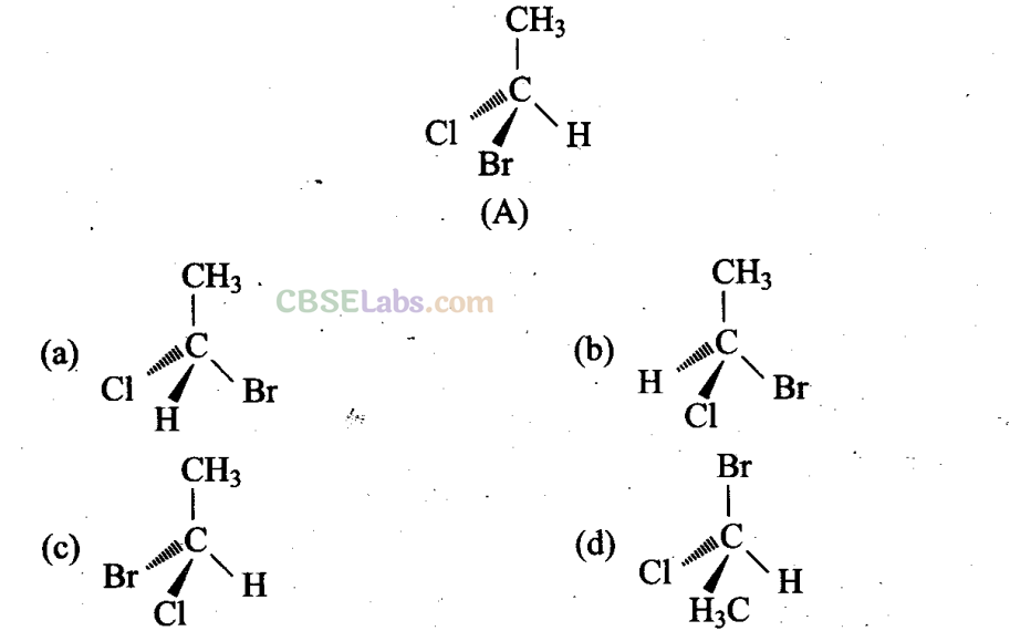 NCERT Exemplar Class 11 Chemistry Chapter 12 Organic Chemistry: Some Basic Principles and Techniques-20