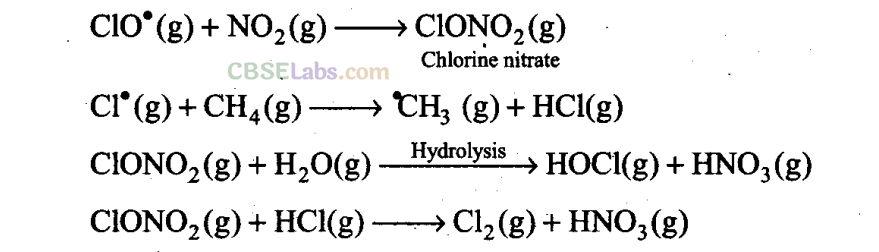 NCERT Exemplar Class 11 Chemistry Chapter 14 Environmental Chemistry-10