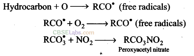 NCERT Exemplar Class 11 Chemistry Chapter 14 Environmental Chemistry-1