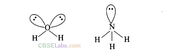 NCERT Exemplar Class 11 Chemistry Chapter 4 Chemical Bonding and Molecular Structure-50