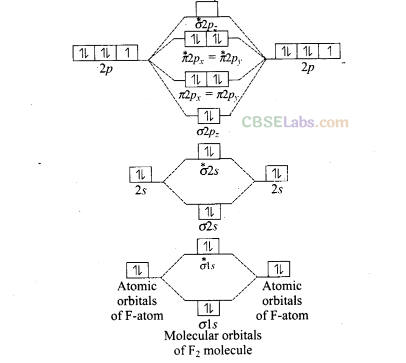NCERT Exemplar Class 11 Chemistry Chapter 4 Chemical Bonding and Molecular Structure-54