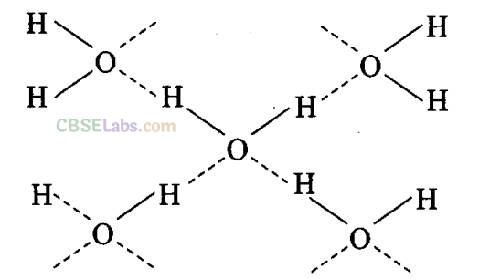 NCERT Exemplar Class 11 Chemistry Chapter 4 Chemical Bonding and Molecular Structure-5