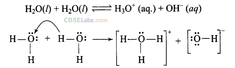 NCERT Exemplar Class 11 Chemistry Chapter 9 Hydrogen-14