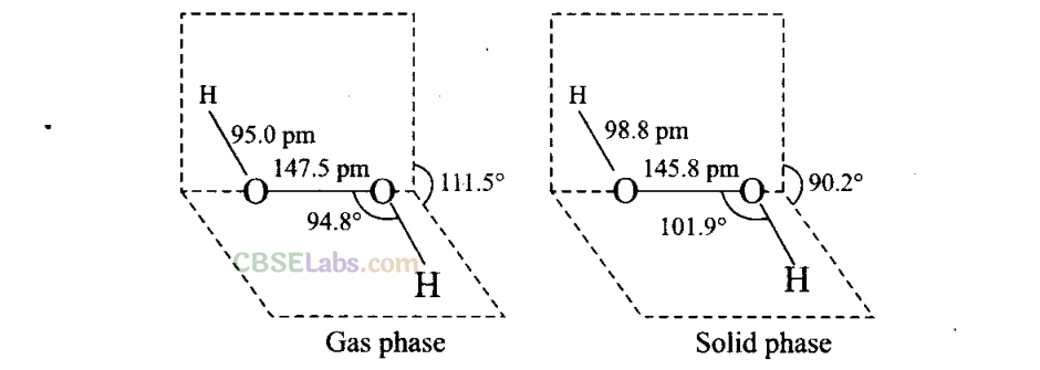 NCERT Exemplar Class 11 Chemistry Chapter 9 Hydrogen-17