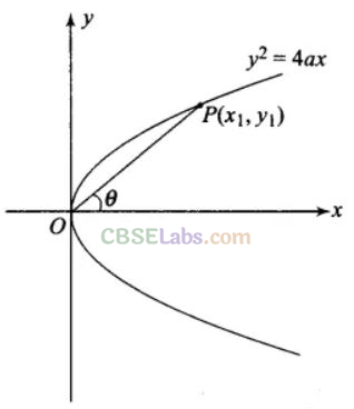 Conic Sections Important Questions NCERT Class 11