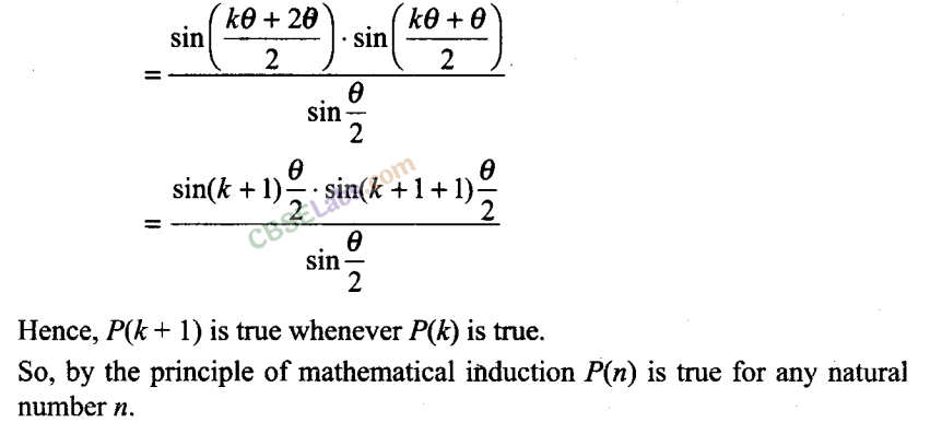 NCERT Exemplar Class 11 Maths Chapter 4 Principle of Mathematical Induction-19