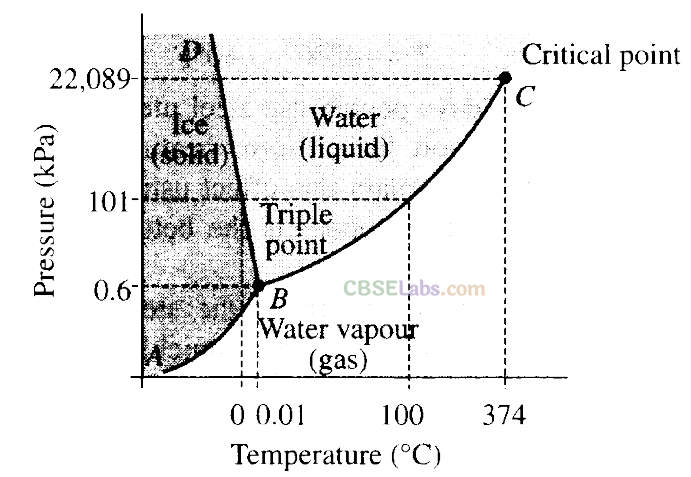 NCERT Exemplar Class 11 Physics Chapter 10 Thermal Properties of Matter-20