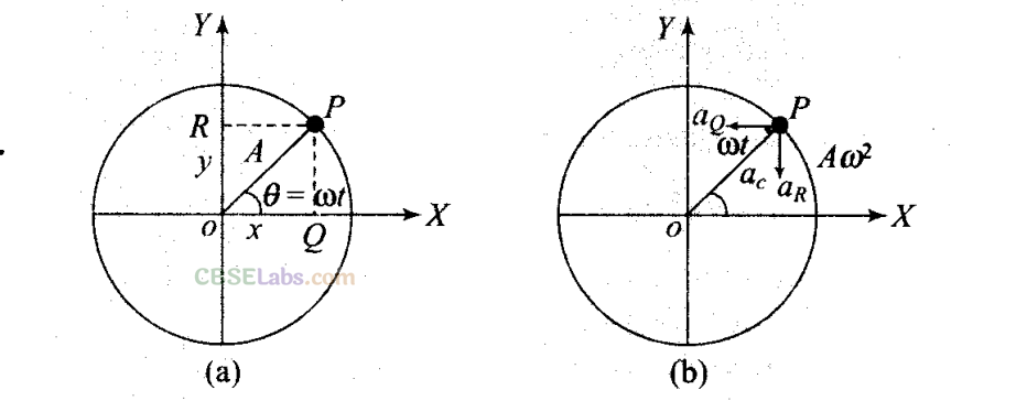 NCERT Exemplar Class 11 Physics Chapter 13 Oscillations-14