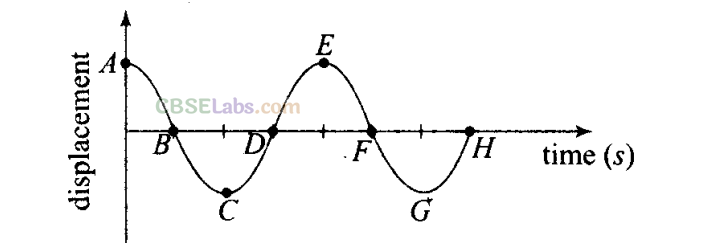 NCERT Exemplar Class 11 Physics Chapter 13 Oscillations-33