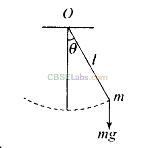 NCERT Exemplar Class 11 Physics Chapter 13 Oscillations-36