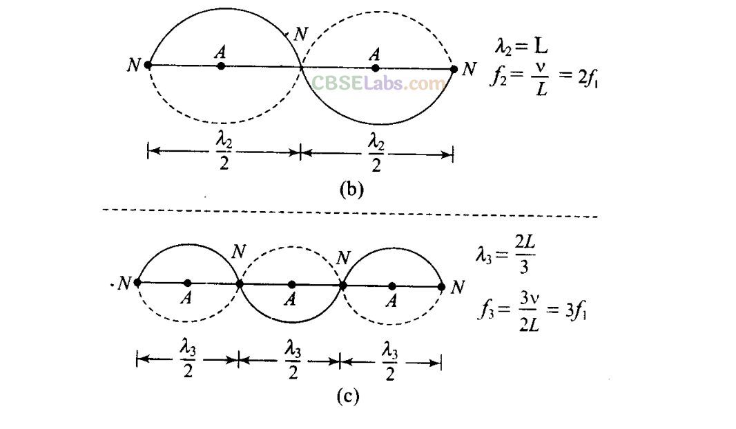 NCERT Exemplar Class 11 Physics Chapter 14 Waves-46