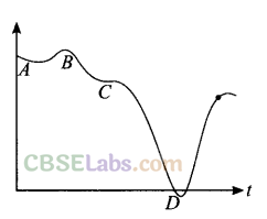 NCERT Exemplar Class 11 Physics Chapter 2 Motion in a Straight Line-12
