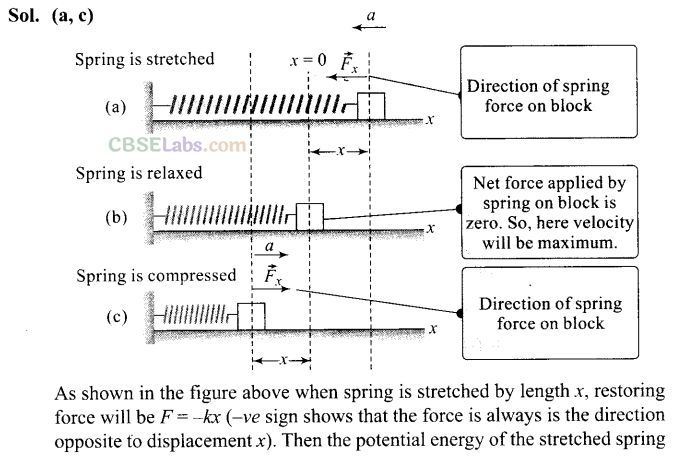 NCERT Exemplar Class 11 Physics Chapter 2 Motion in a Straight Line-15