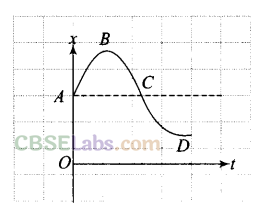 NCERT Exemplar Class 11 Physics Chapter 2 Motion in a Straight Line-21