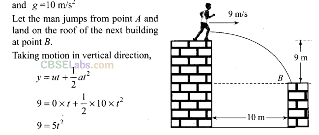 NCERT Exemplar Class 11 Physics Chapter 2 Motion in a Straight Line-33