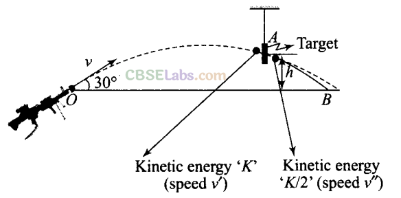 NCERT Exemplar Class 11 Physics Chapter 5 Work, Energy and Power-22