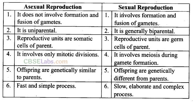 NCERT Exemplar Class 12 Biology Chapter 1 Reproduction in Organisms-7