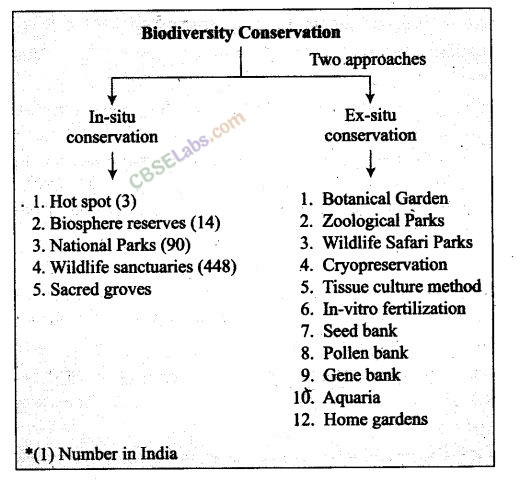 NCERT Exemplar Class 12 Biology Chapter 15 Biodiversity and Conservation-3