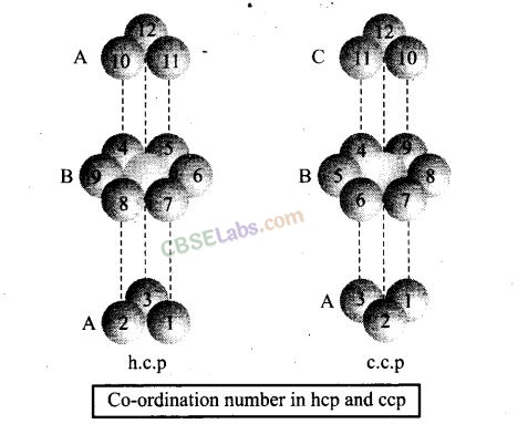 NCERT Exemplar Class 12 Chemistry Chapter 1 Solid State-8
