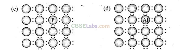 NCERT Exemplar Class 12 Chemistry Chapter 1 Solid State-12