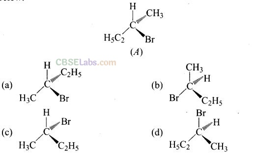 Haloalkanes And Haloarenes Exemplar Class 12