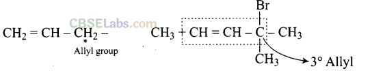 NCERT Exemplar Of Haloalkanes And Haloarenes Class 12