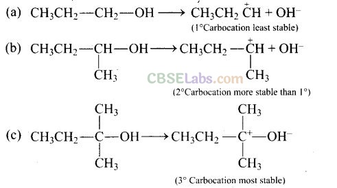 Haloalkanes And Haloarenes NCERT Exemplar Solutions Class 12