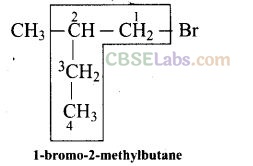 NCERT Exemplar Class 12 Chemistry Chapter 10 Haloalkanes and Haloarenes
